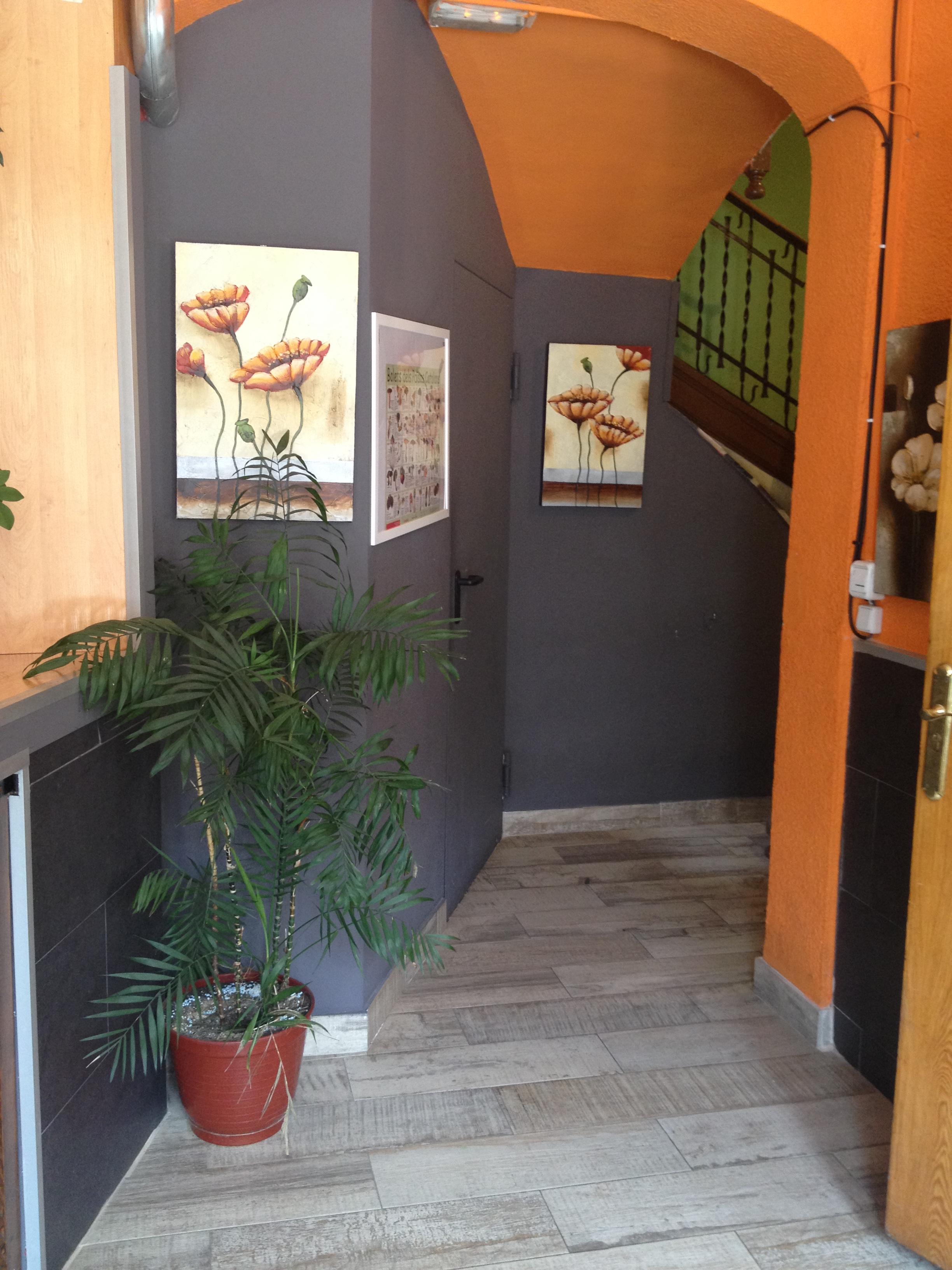 Hostal Porta De Nuria Ribes De Freser Eksteriør billede