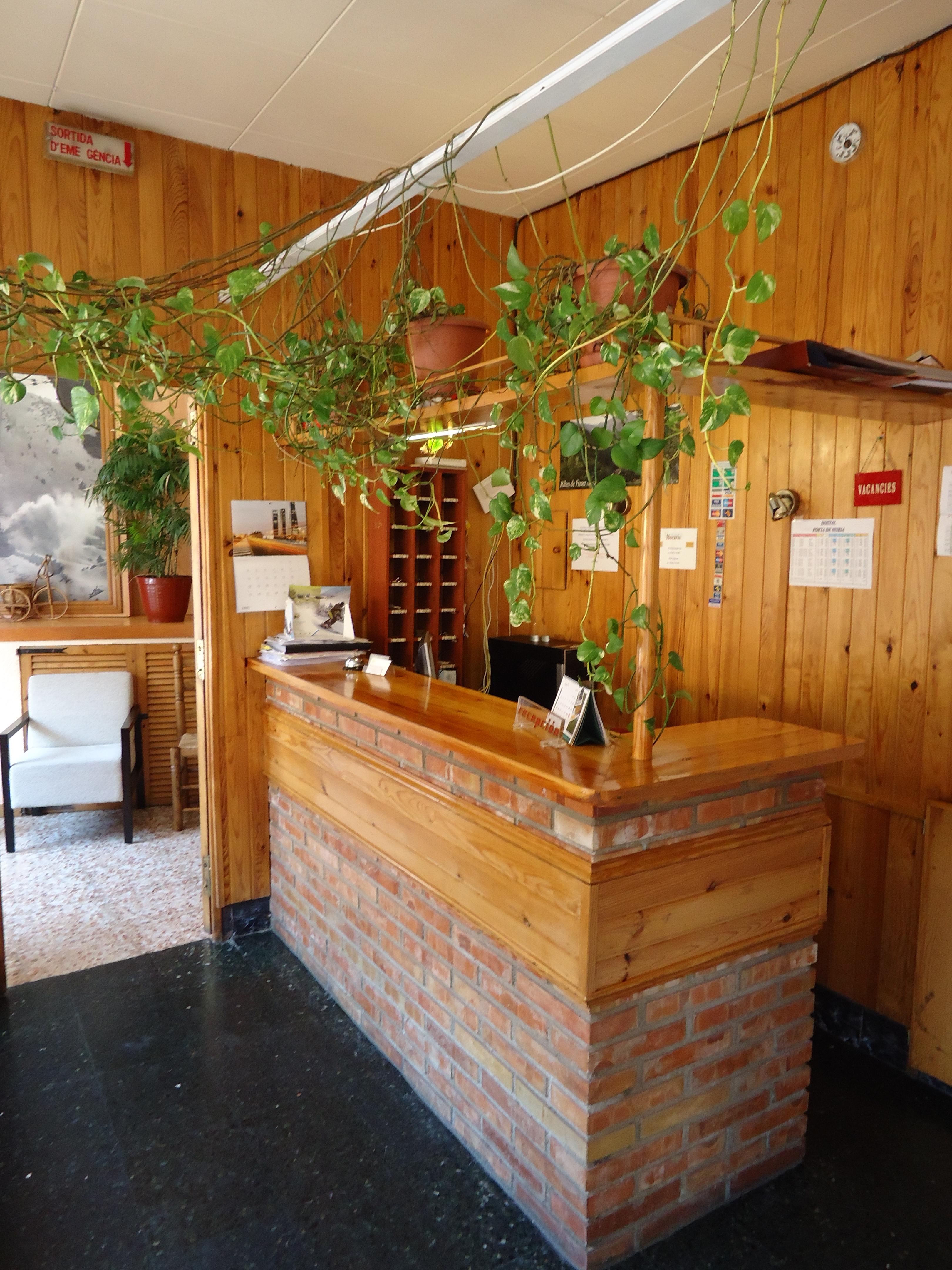 Hostal Porta De Nuria Ribes De Freser Eksteriør billede
